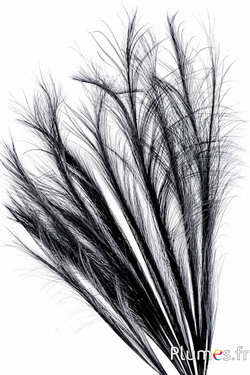 Fazant Hoki - 45-50 cm - grijs-zwart
